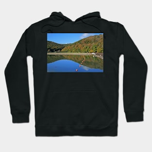 Cornish Reflections Hoodie